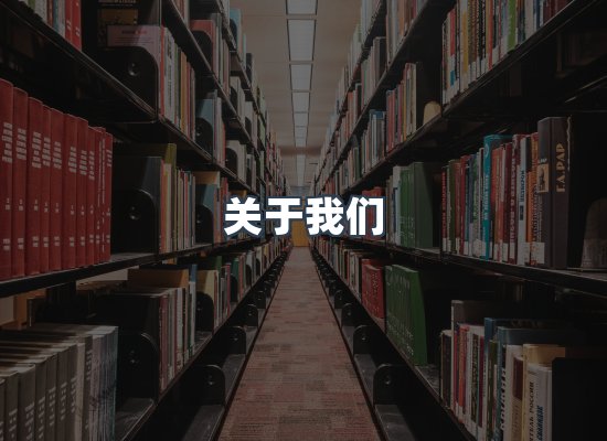 专业团队